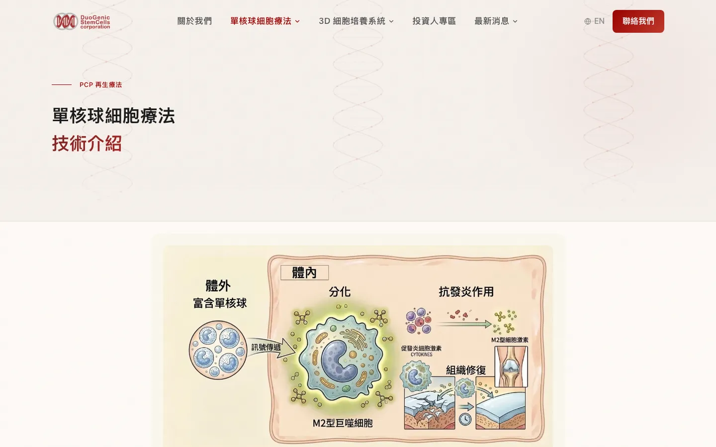 單核球細胞療法頁面